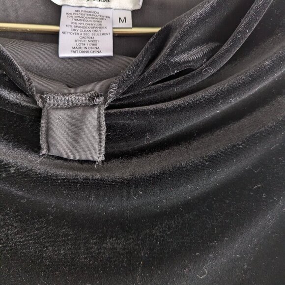 Ronnie Nicole Velvet Sheer Embroidered Mesh Sleeve Cowl Neck top - Picture 6 of 7